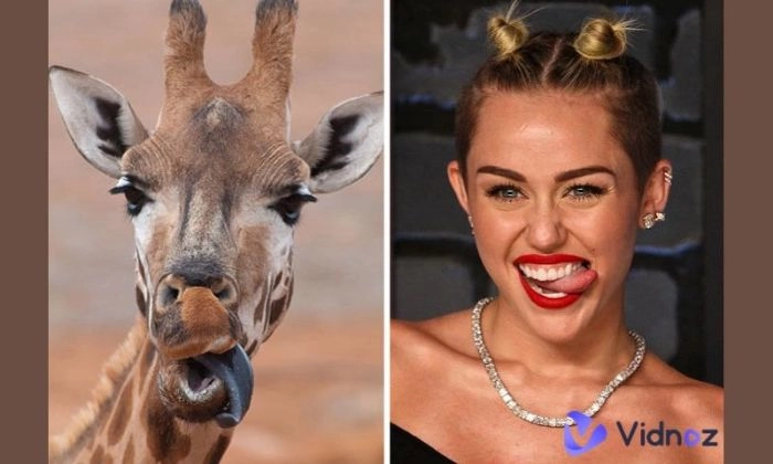 ¿A qué Animal me Parezco? Realiza el Test de Animal Face Online Gratis con IA