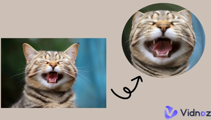 Añadir efecto ojo de pez a tus fotos sin comprar lente ojo de pez Online Gratis