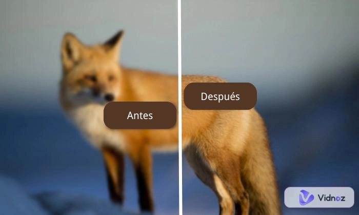 Las herramientas de mejorar nitidez de foto y guía de enfocar foto con IA